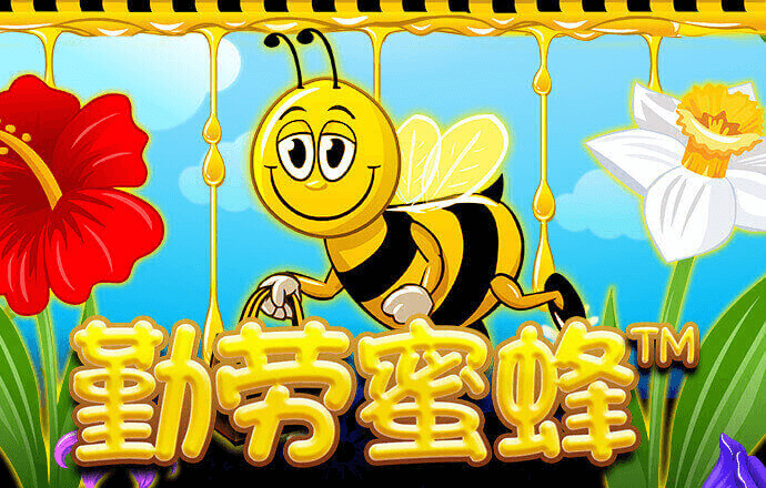 半岛棋牌网页版登录入口